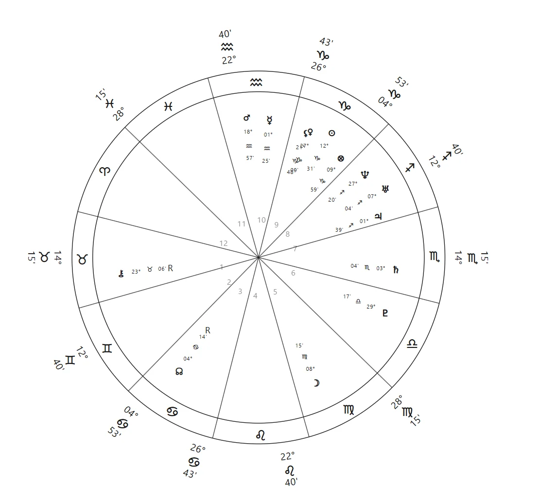 Chart wheel showing the 12 house divisions